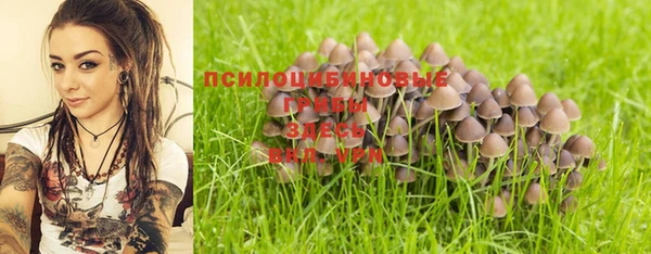 кокаин Алексеевка